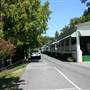 GREENBRIER, THE - South Carolina & Tanses Rows