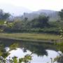 South Branch Potomac River - SPRINGFIELD