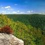 Snake Hill Wildlife Management Area