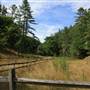 WATOGA STATE PARK - _Sampler