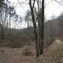 Greenbrier River Trail
