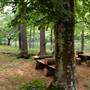 [NEEDS SCOUTED] Giggenbach Property