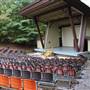 Pipestem - Ampitheater
