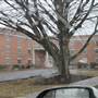 SHEPHERD UNIVERSITY - Thatcher Hall