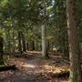 Cathedral State Forest