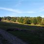 Ellerbe Knob